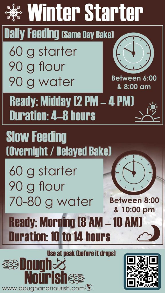 Dough and Nourish Winter Sourdough Starter Quick Reference guide for your phone.